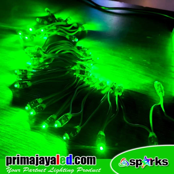 5V Green Outdoor Pentol Model LED Light 50 LED Eyes