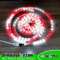 10 Meters Red White Flexible Hose LED Light