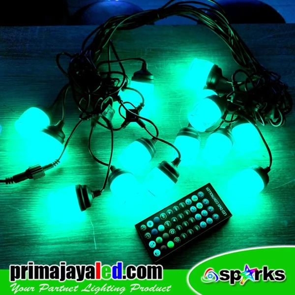 LED String Cable Light Outdoor RGB Remote Controller