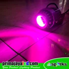 Lampu Sorot LED Spotlight Pink 10 Watt Mata Cree 2