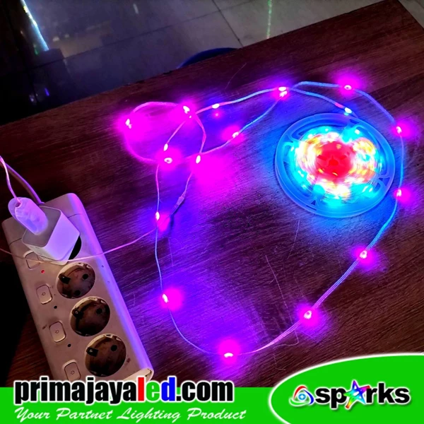 Pixel RGB LED Christmas Lights 10 Meters Remote Controller