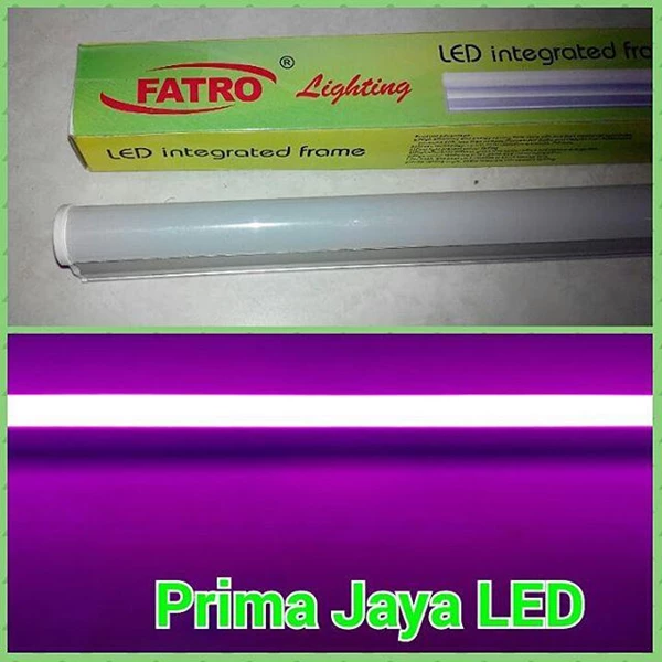 Fatro LED Neon T5 Pink