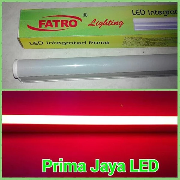 LED Color Red T5 Neot