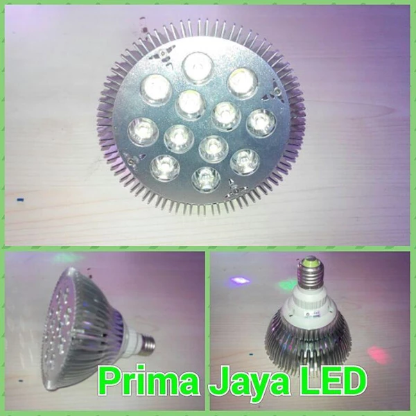 LED Spotlight bulb 12 Watt Par38