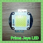 Chip Mata LED 50 Watt Putih 1