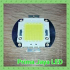 100 Watt LED Chip Eyes White 1