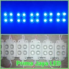 Hiled LED module Blue Eyes 4 1