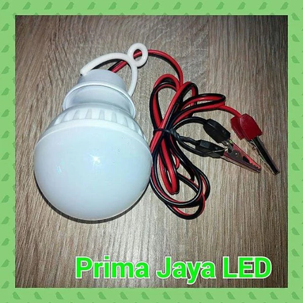The LED light bulb 3 Watt Battery