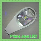 LED Street lamp DC 12 Volt 50 Watt 1