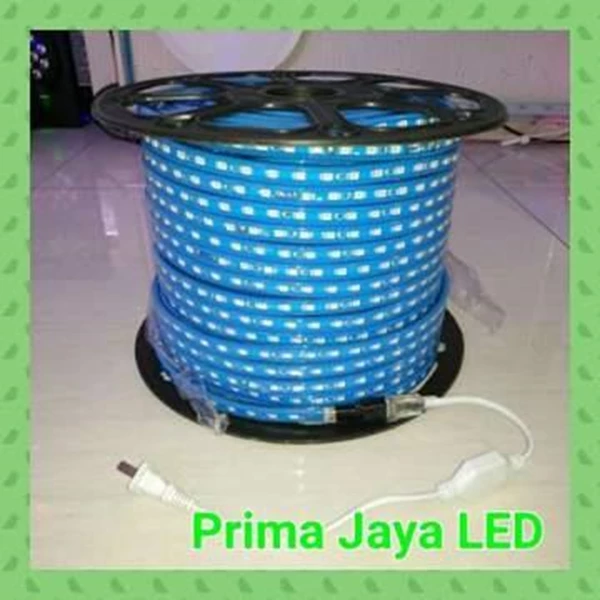 The blue hose LED Outdoor IP65 5050