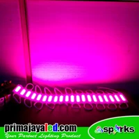 Lampu LED Outdoor Module COB 2 Watt Pink